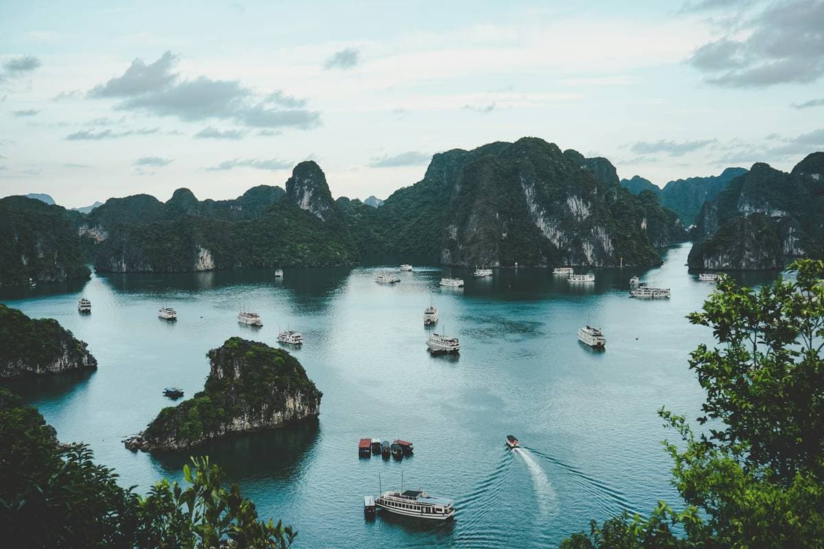 eSIM Việt Nam cho người nước ngoài: Hướng dẫn kết nối từ A đến Z