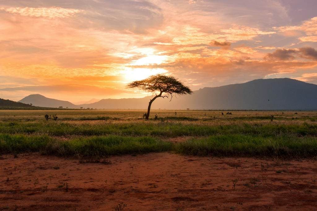 Uganda