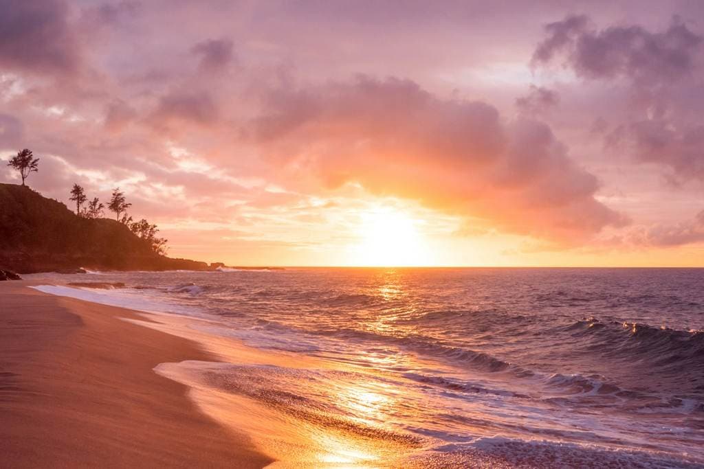 St. Vincent & Grenadines